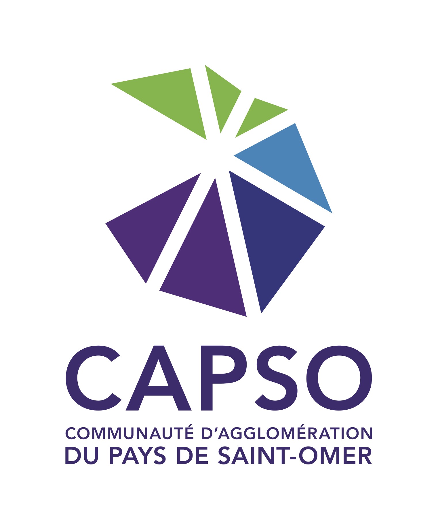 Logo capso cmjn