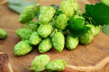 Houblon