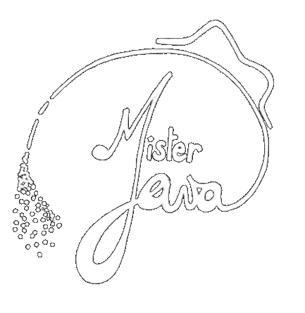 Logo mister java